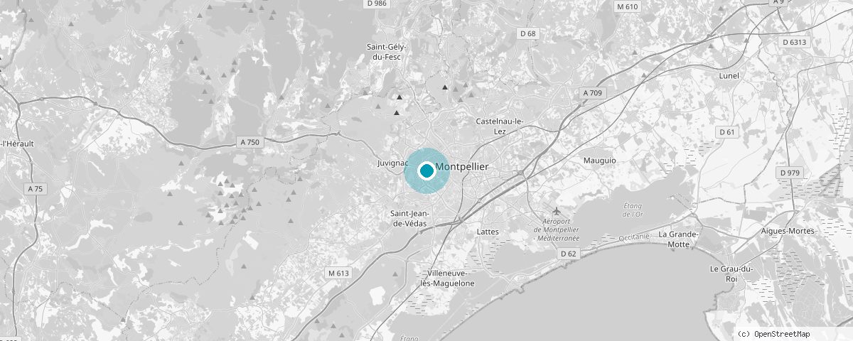 Montpellier haritası